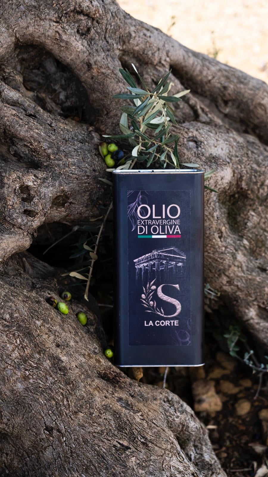 Nocellara - Olio extravergine di oliva 2025/2026-1 latta da 5 L