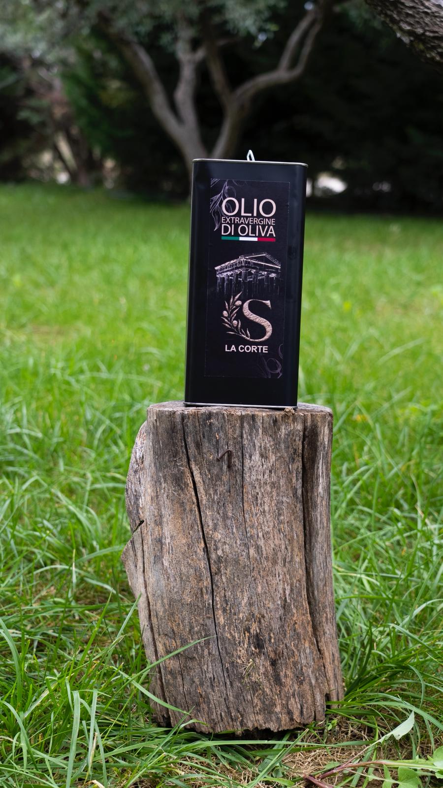 Biologico-Olio extravergine di oliva 2025/2026-1 latta da 5 L