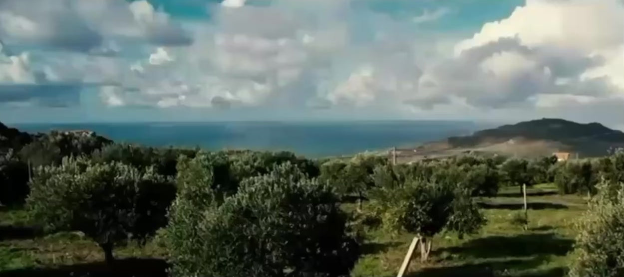 Carica il video: 